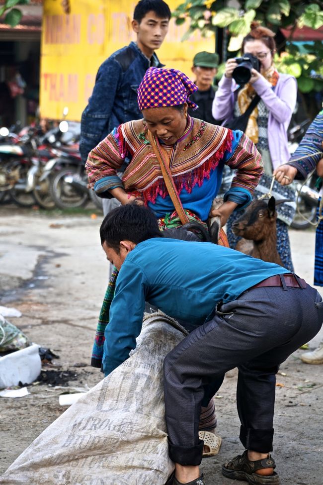 なかなか暴れて<br />この袋中にはいりません<br /><br />後ろでカメラを向けている女性はホテルで隣の部屋になった<br />自称カメラマンの日本人の方<br />