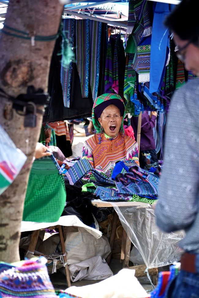 この方<br />私の写真の中に結構登場しています<br />朝早いから午後を過ぎるとあくびが出ます