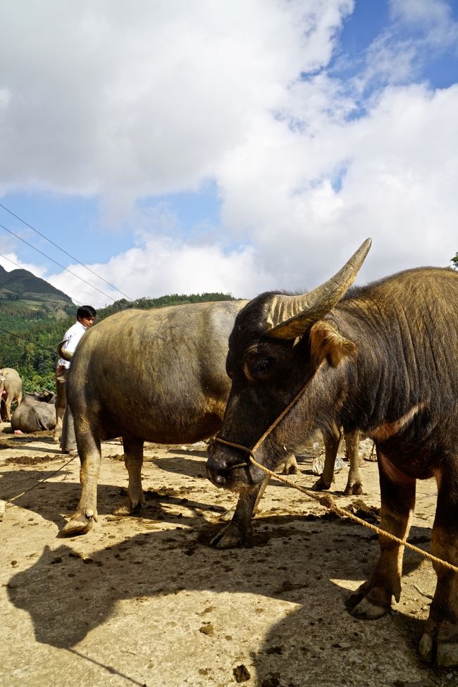 この時間はんぱない光の強さ