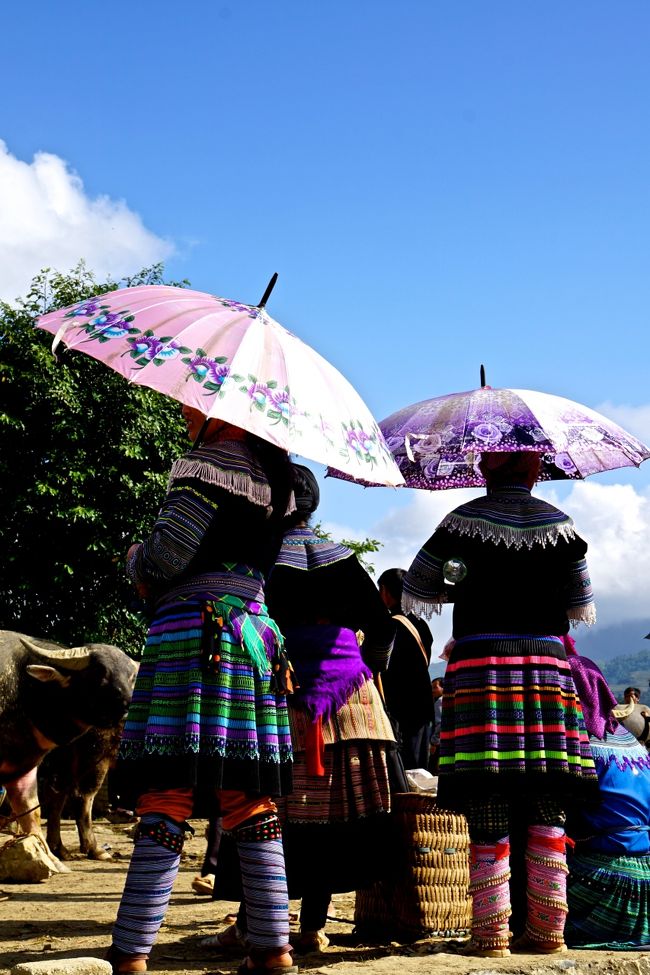 午後は眩しすぎる<br />空の色も半端無いBlue