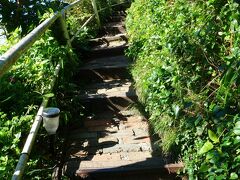 こんな階段を登る事に。
湘南って海と山が近い所は、元実家の神戸にも似ているような。
元実家もこんな急坂を駅から登らなくてはいけない為、
心臓にステント数本埋め込んでいる父親には辛かったらしい。