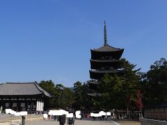 まずは興福寺を参拝。
五重の塔がひときわ目につく風景。
６６９年創建、近鉄奈良駅から訪れると最初にたどり着く寺院である。