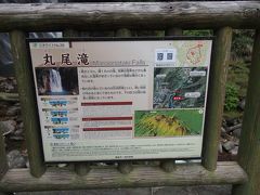 国道223号線に入ってしばらく走るとヘアピンカーブがあり、そこに丸尾滝があります。駐車スペースはありますが、きちんと整備された駐車場はありません。国道を走っていると突然滝の姿が見えるので、多くの車が路駐して滝見物をしていました。危険ですね。