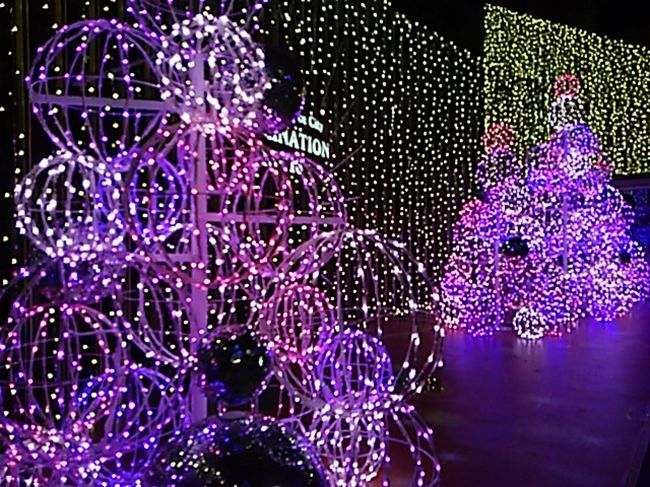 金曜日の晩、新宿から夜行バスに乗り大阪へ向かいます。<br />