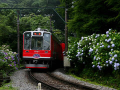 再び電車に乗って先ほどのあじさいの小径の横を通って着いたのは宮ノ下駅。あじさい電車の有名撮影地が駅のすぐ近くにあるので早速そこに向かい、やってきた電車をあじさいとともに一枚。