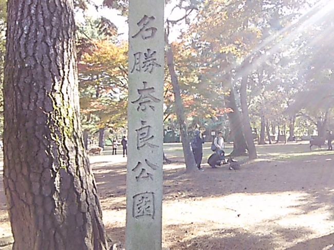 奈良公園