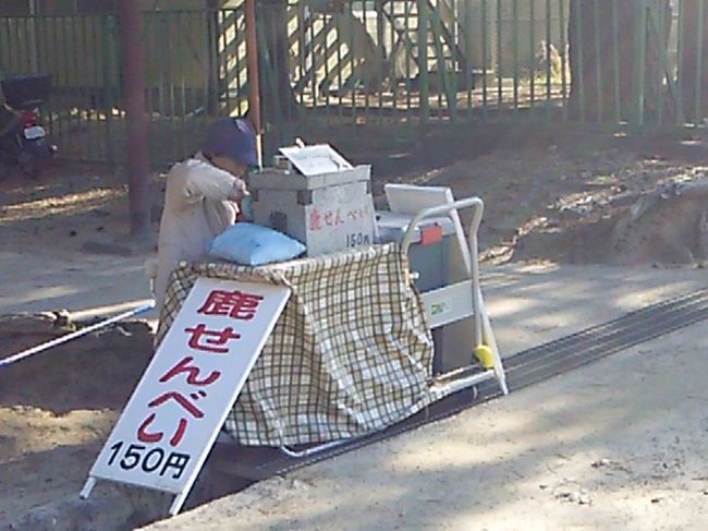 あちこちで鹿せんべいが売られています。