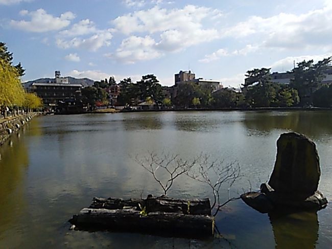 興福寺を出て、猿沢池