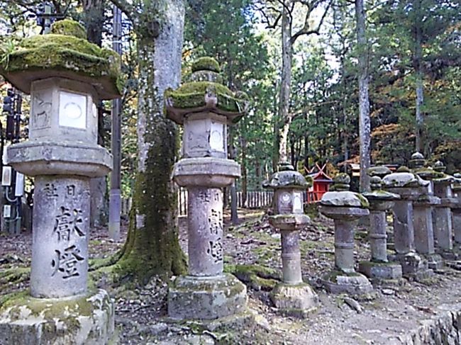 一の鳥居〜春日大社参道