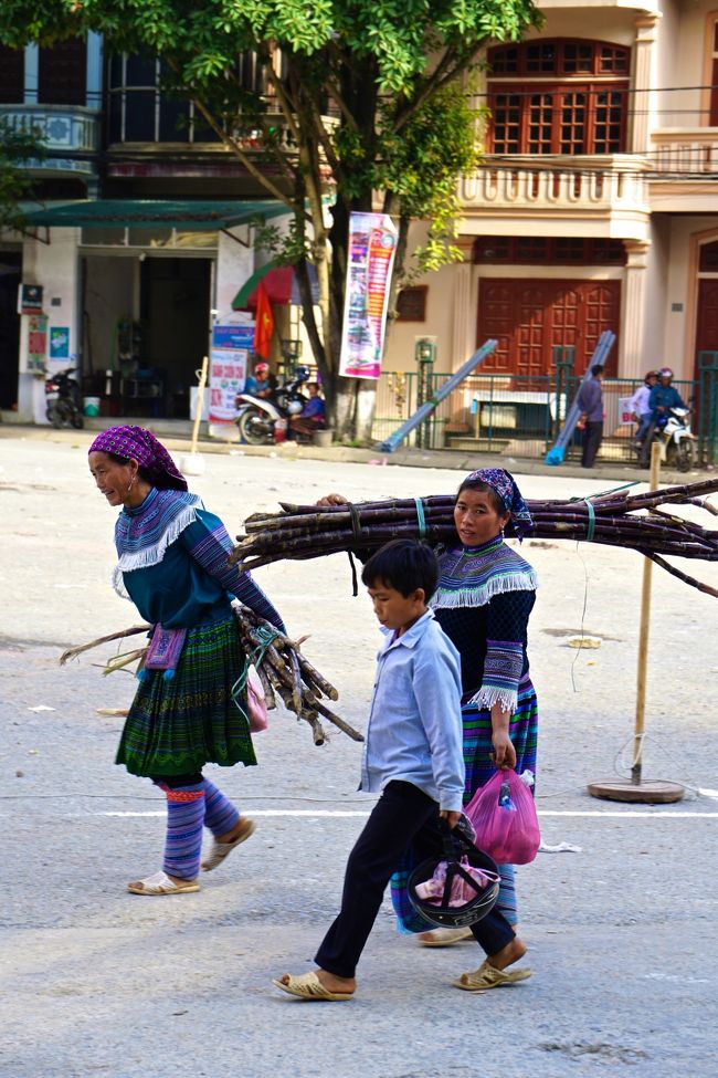 サトウキビも仕入れ