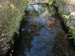 ロープウェイ乗り場に行く途中にも水路が