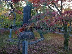 紅葉で有名な東福寺は、「７割紅葉している」と聞いていましたが
７割にも達していなかったです。
今年はあったかかったからなぁ…。