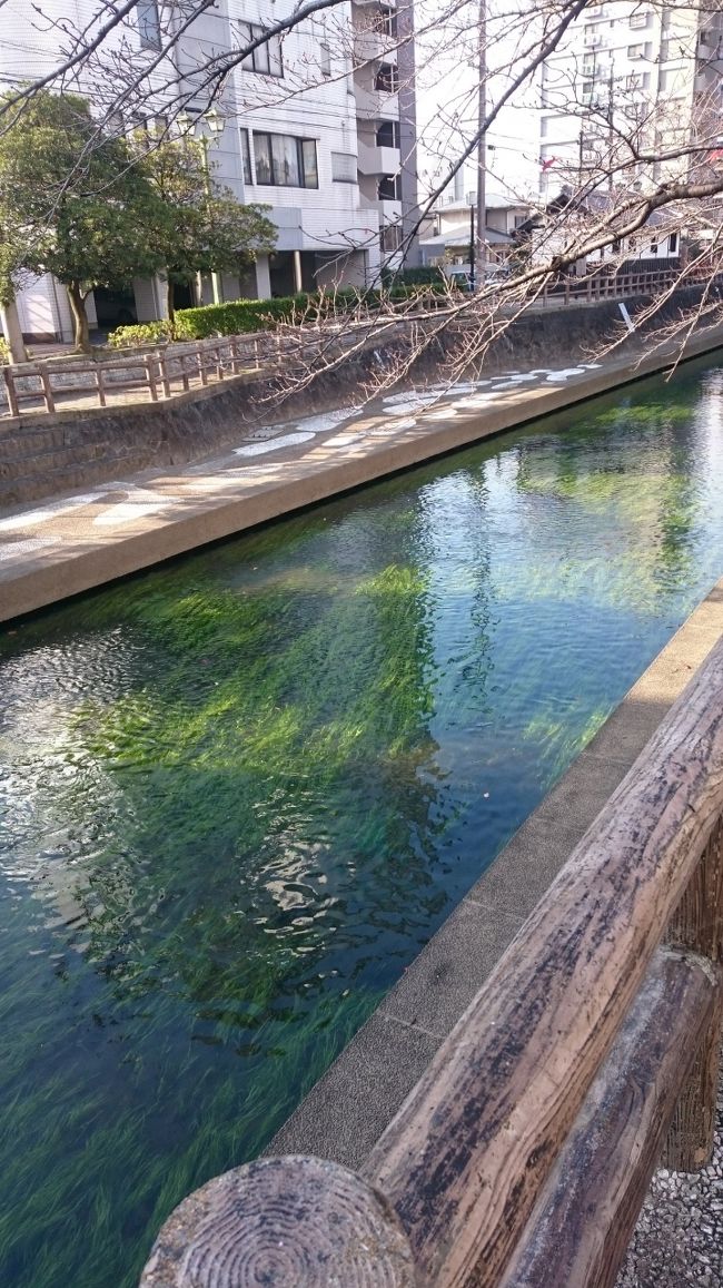 大垣城から駅まで歩くととても綺麗な川があります。ここは奥の細道結びの地でもあるため、とても風情があります。