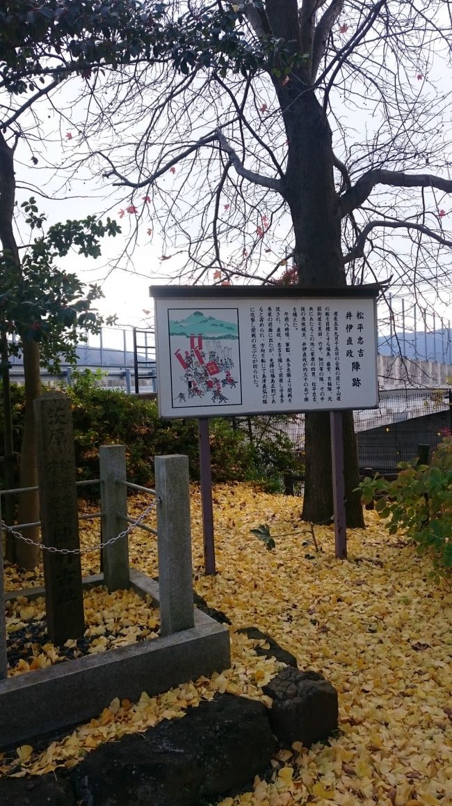 近くから。まずは井伊隊と松平隊の陣跡。この隊から関ヶ原合戦の口火が切られたそう。