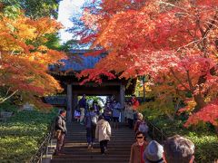 9：30北鎌倉駅に到着します。
長寿寺は去年にも行って、拝観時間が10：00からだと分かっていたので今回はその時間まで周りのお寺の紅葉を確認します。

北鎌倉駅近くにある円覚寺
門のところで紅葉を確認して中に入らず、今回はスルーします