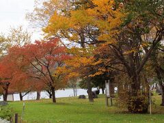 紅葉がきれいなのに、見る人もなく、勿体ないですね。

