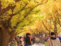 ドラマによく使われることもあって、歩道はそこそこ綺麗なのですが
自分的には昭和記念公園の方が好きかな〜

そそくさと外苑を後にして、明治神宮まで行こうと思っていたら途中に新宿御苑があることが判明