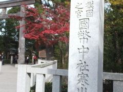 １０分余り歩いて「寒川神社」に着きました。

相模国の一ノ宮。
近代社格制度において国幣中社ということで、由緒正しき神社らしい。

