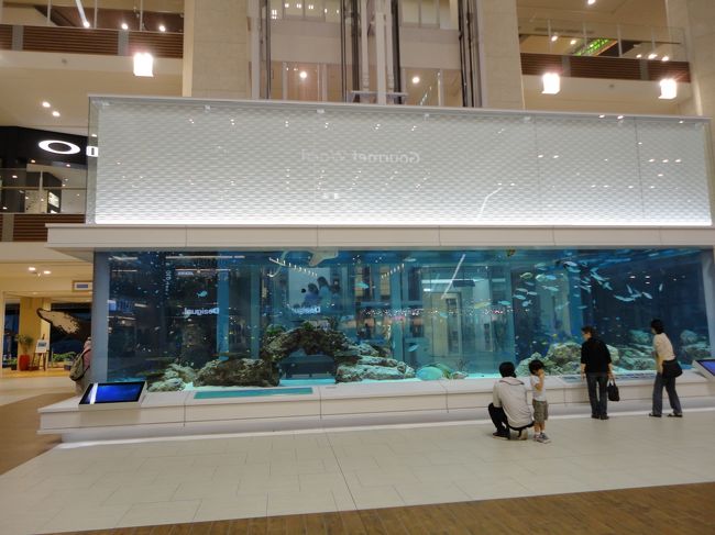 入ると横には大きな水槽が！<br /><br />色々な魚が泳いでいるので、見ていて楽しいですね。