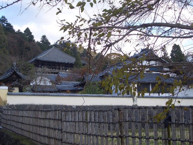 二月堂〜東大寺へ向かう道