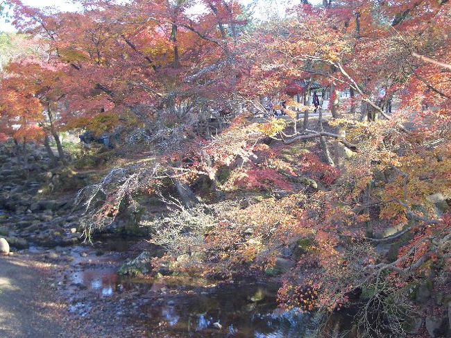 紅葉が綺麗です。