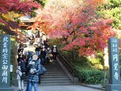 円覚寺
紅葉の見頃を迎えて、いっそう観光客が多いようです。
人がまばらになった隙を狙って写真を撮ります。
