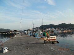 ６時。豊浜港には釣り客が５人。釣れないのだなぁ。