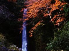 12月に入っても紅葉が残る養老の滝