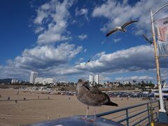 ロサンゼルス手前のサンタモニカに到着。
お天気が良く青空が美しい！