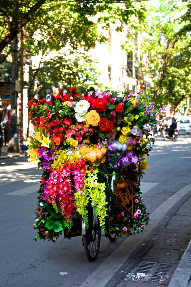 どうやって<br />チャリンコ乗ってるの？