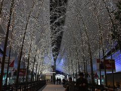 両親と合流して、空港内のお蕎麦屋さんへ。
羽田空港出発ロビーのクリスマスイルミネーションがすごく綺麗でした！！
