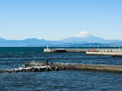 大船から乗ったモノレールからも見えていたのですが、この江の島への弁天橋からもとても近い富士山の大きさに感激。妻のおかげでとてもよい天気（笑）。