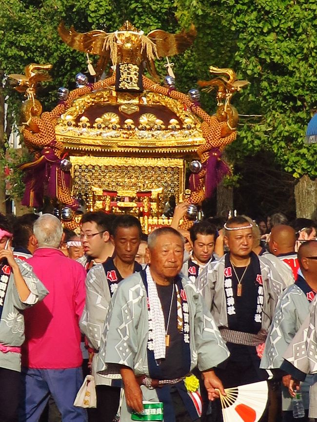 下総三山の七年祭り4/5 菊田神社神輿の還御 ☆宮入り～最高潮の