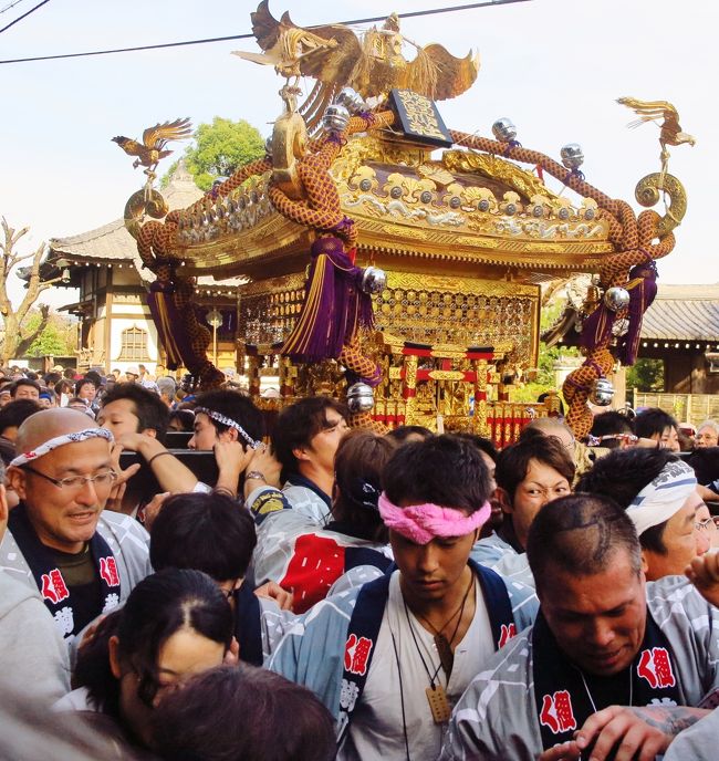 下町神輿 祭りの記録 8K 3D VR180 ] 2024 三社祭 (4/4) 本社神輿各町渡御