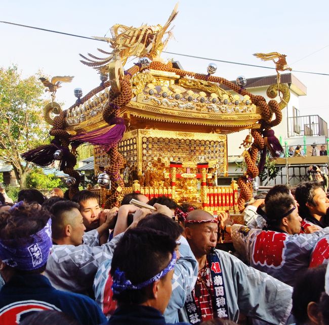 下町神輿 祭りの記録 下総三山の七年祭り4/5 菊田神社神輿の還御 ☆宮入り～最高潮の