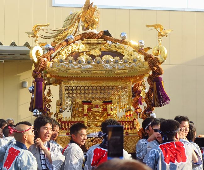 下総三山の七年祭り4/5 菊田神社神輿の還御 ☆宮入り~最高潮の賑わいに