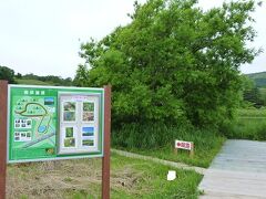 利尻島にある湿原で遊歩道が設けられている。