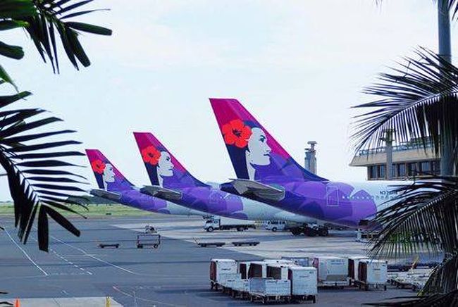 私はハワイアン航空のフラガールのロゴが好きなんです。<br />もしかしたら機内でもハワイ気分を味わえるかなと勝手な思いもあり、<br />今回の旅行はハワイアン航空に決めました！<br />もちろん乗ったことはありませんので、勝手な想像になりますが…！<br /><br />ちなみに去年のグアム旅行記に写っている娘も、ロゴガールのような髪型にしようと髪の毛をのばしております(^^♪<br /><br />関空からの便は<br />エアバス A330-200<br />座席数：294席<br />ビジネスクラス：18席<br />ピッチ：114cm〜117cm<br />座席配置：2席-2席-2席<br /><br />エコノミークラス：276席<br />ピッチ：78cm〜81cm<br />座席配置：2席-4席-2席<br /><br />座席の配置は、ハワイアン航空のホームページで確認できますが、英語ですがこんなサイトもありました。<br /><br />http://www.seatguru.com/airlines/Hawaiian_Airlines/Hawaiian_Airlines_Airbus_A330-200.php<br />