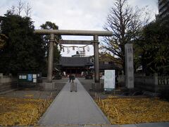 隣にある浅草神社にも参拝しました。
参道の周りの銀杏葉の黄色が綺麗です。