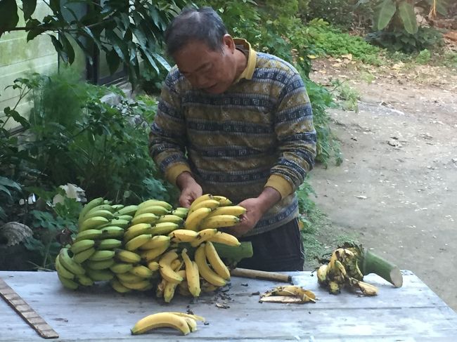 大浜荘のご主人！！<br />お庭のバナナを採ってくれました