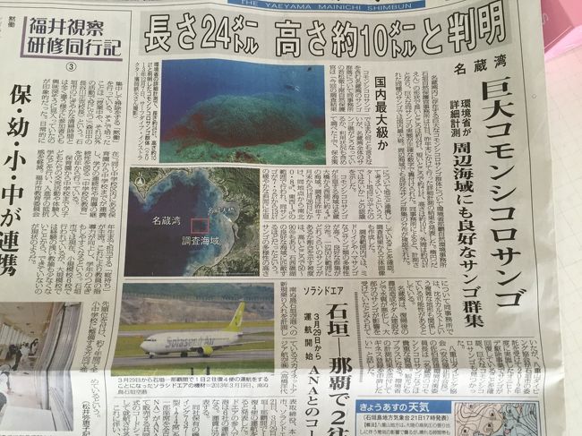 潜った日の新聞にちょうどそのサンゴのことが<br />記事になっていました