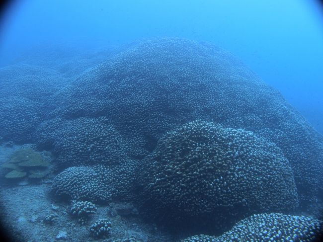 ワイドレンズで撮ってみましたが<br />すべてが収まり切れないです