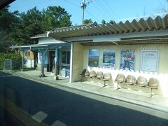 虹ノ松原駅を過ぎると松林です。