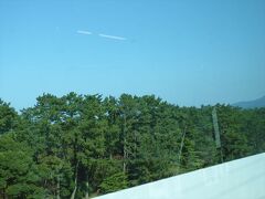 ずっと松林が続きます。