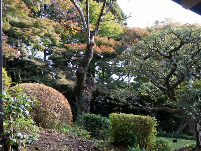 　建物の入口に無人の受付があり、名前を記入し料金箱に1人100円の入園料を投入して庭に入ります。