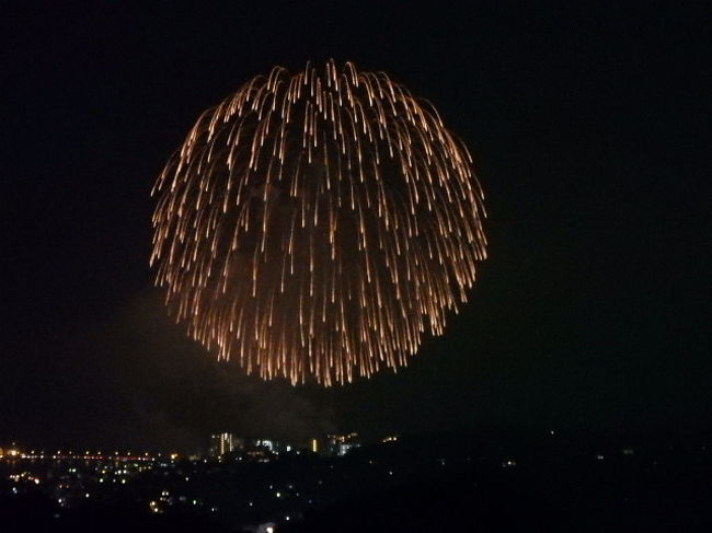 江の島の楽しみ 秋の花火大会と新江の島水族館 ナイトワンダーアクアリウム 藤沢 江ノ島 神奈川県 の旅行記 ブログ By 旅遊de美食散歩さん フォートラベル