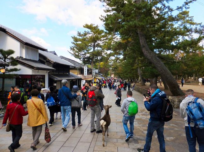 東大寺と向かいます<br /><br />人が多すぎ