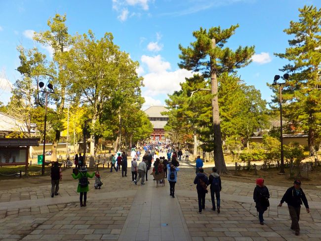 東大寺に向かいます