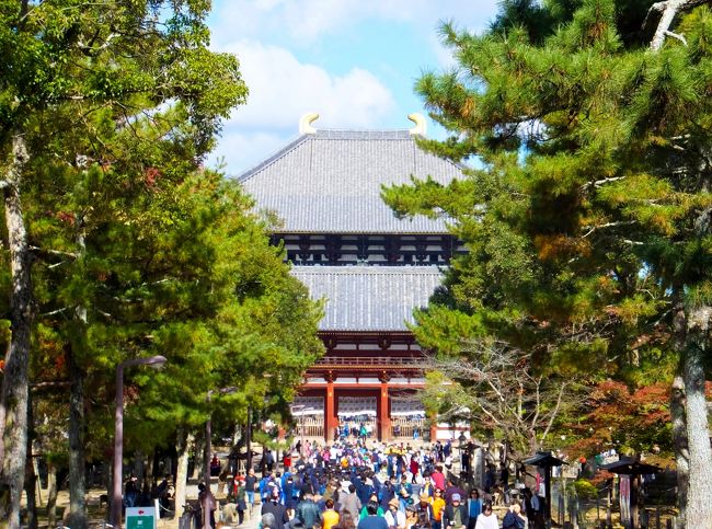 東大寺<br /><br />大陸の団体さんと修学旅行生でめちゃ混みです
