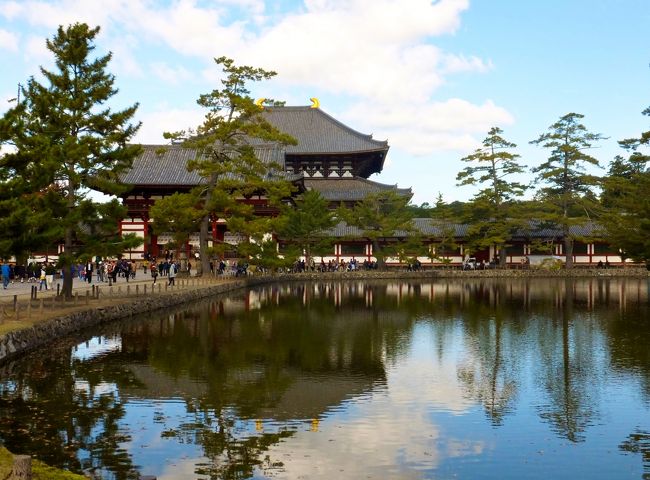 東大寺と池